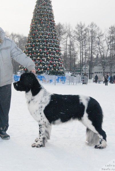 Фотография № 86481