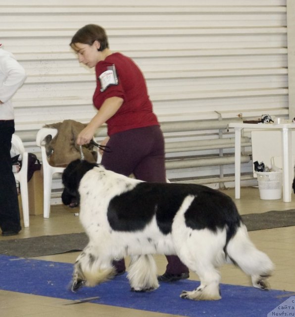 Фотография № 86490