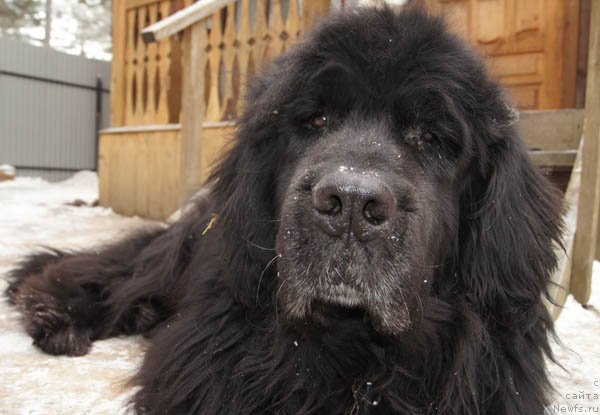 Фотография № 86553