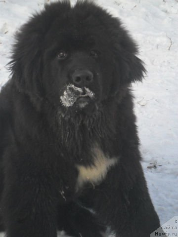 Фотография № 86576