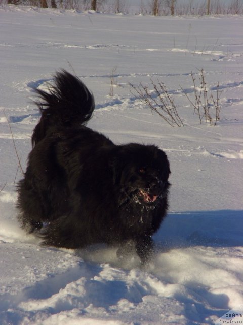 Фотография № 86596