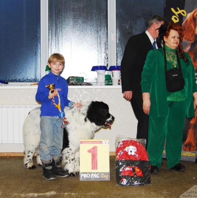 Фотография № 8660