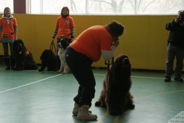 Фотография № 86614