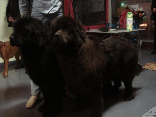 Фотография № 8664