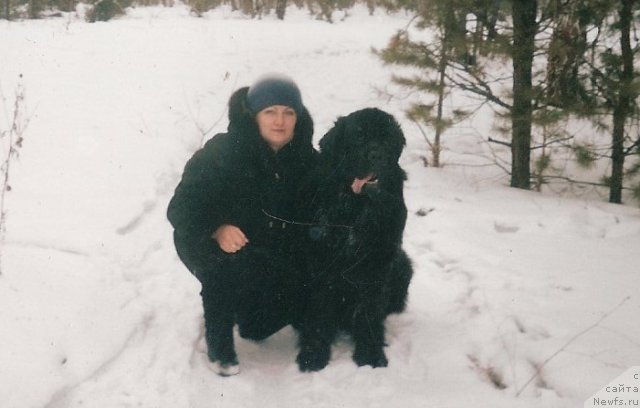 Фото: ньюфаундленд Царевич Империи Ньюф от Марлеон Дусвик, Татьяна Шайдук