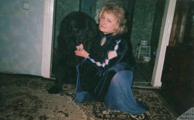 Фото: ньюфаундленд Царевич Империи Ньюф от Марлеон Дусвик, Татьяна Шайдук