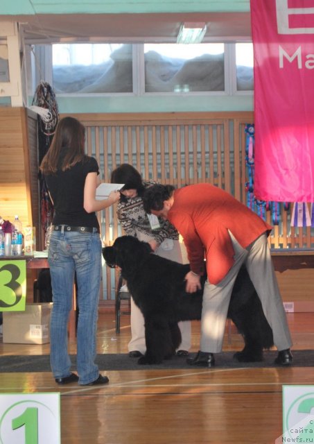 Фотография № 86667