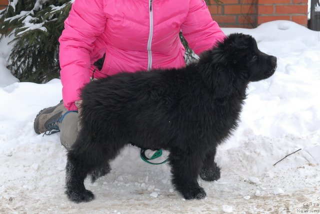 Фотография № 86671