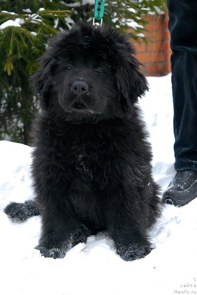 Фотография № 86672