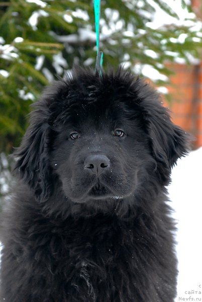 Фотография № 86674