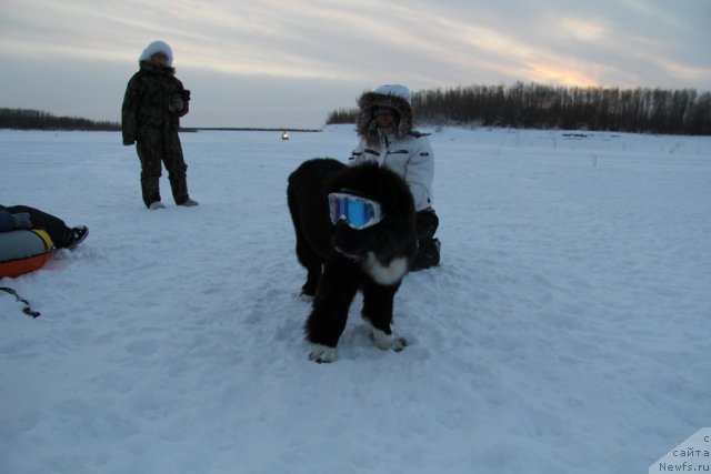 Фотография № 86681