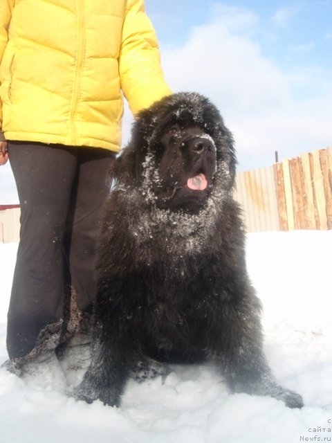 Фотография № 86745