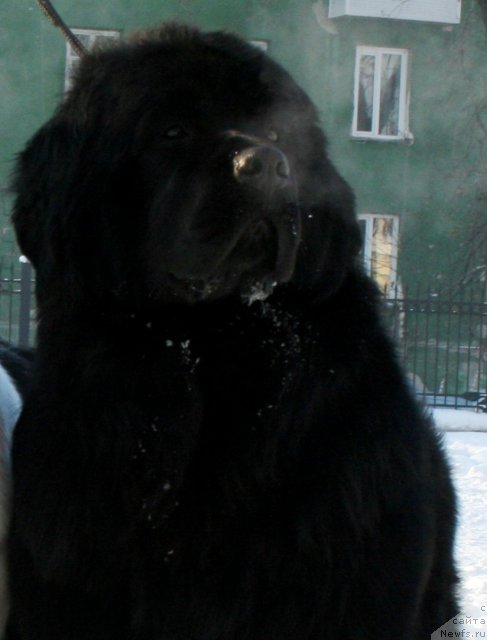 Фотография № 86750