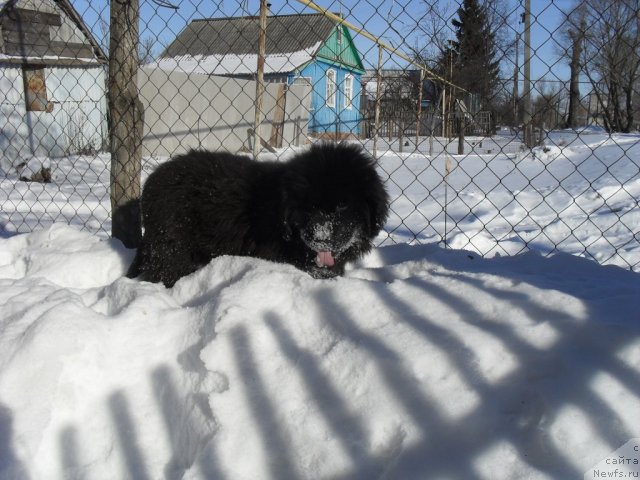 Фотография № 86764