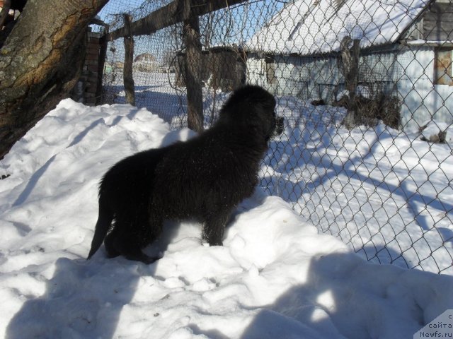 Фотография № 86765