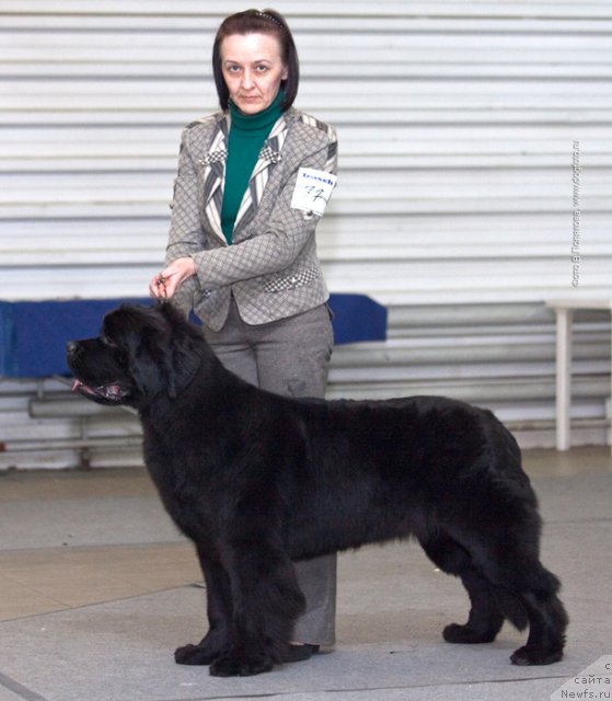 Фотография № 86780