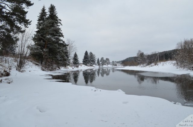 Фотография № 86817