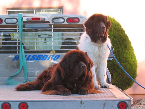 Фотография № 8685