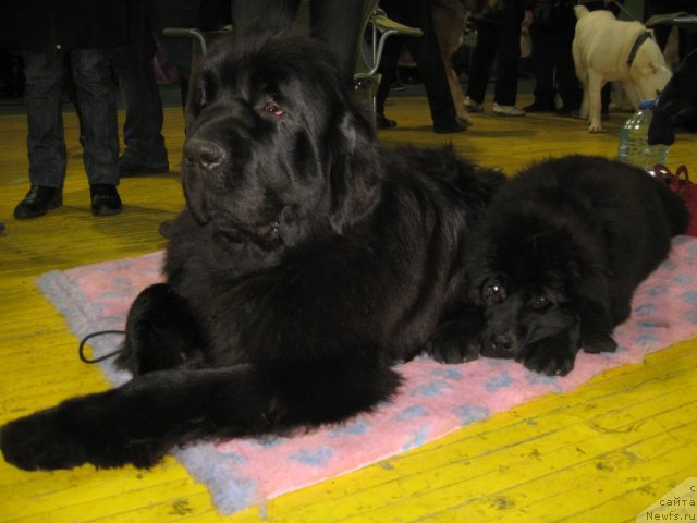 Фото: Светлана Глаголева