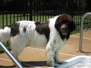 Фотография № 8686