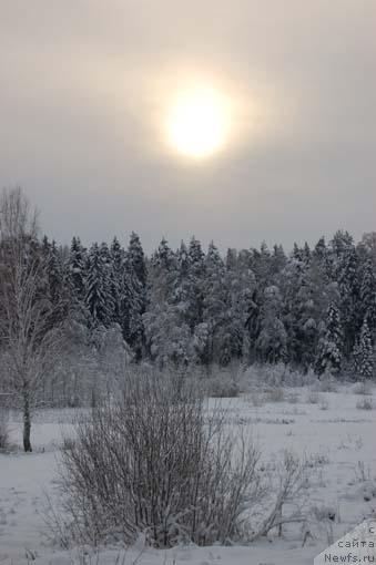 Фотография № 8692