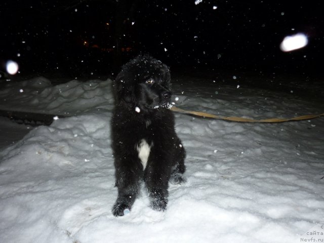 Фото: Сергей Краснов