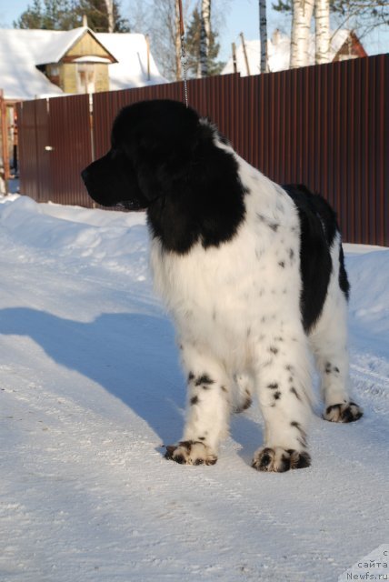 Фотография № 86961