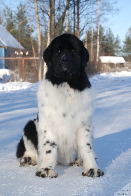 Фотография № 86964