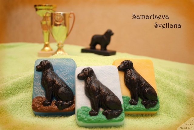 Фотография № 87032