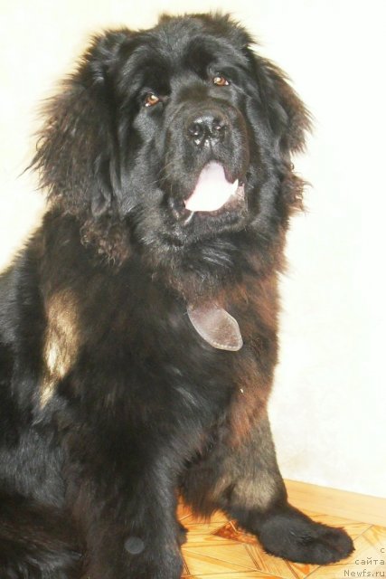 Фотография № 87059