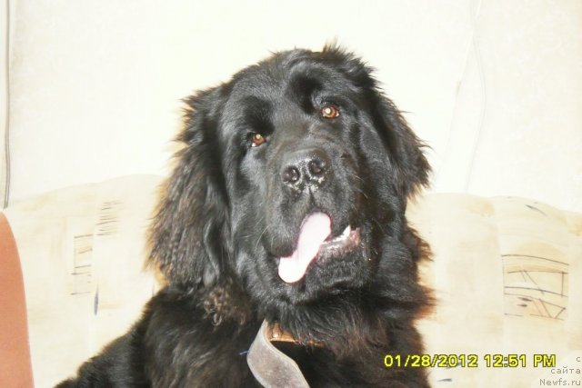 Фотография № 87110