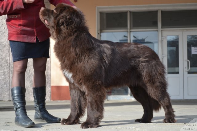 Фотография № 87120