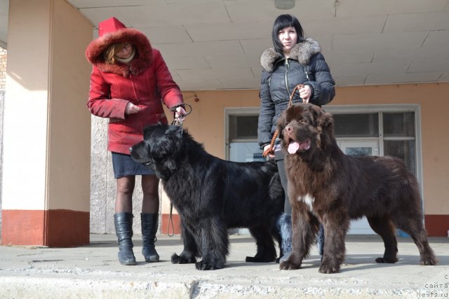 Фотография № 87121