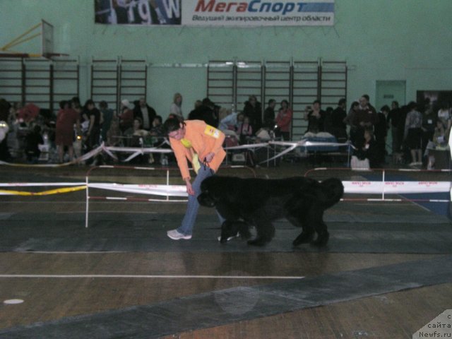 Фотография № 87126