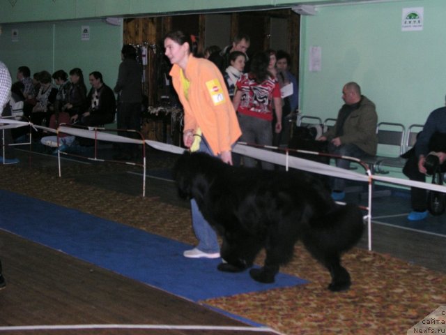 Фотография № 87127