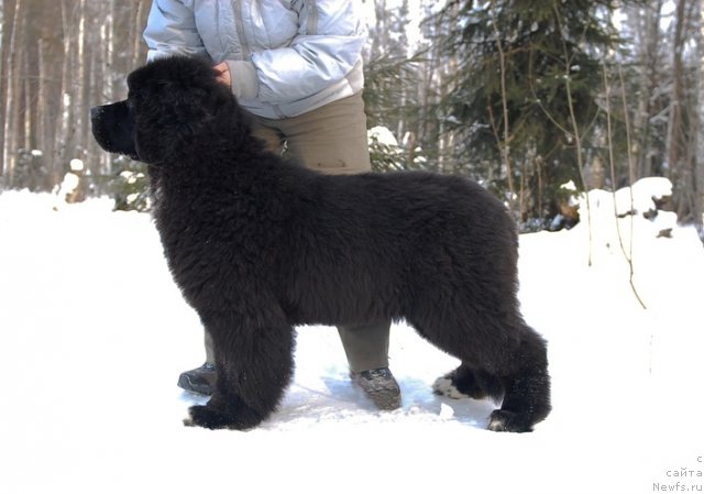 Фотография № 87136