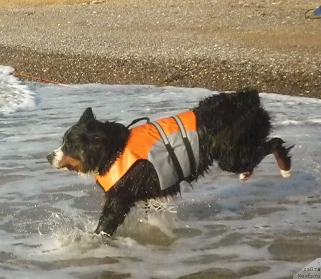 Фото: Евгения Агафошина, берник ЭНИ