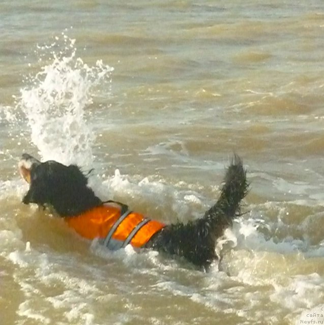 Фото: Евгения Агафошина, берник ЭНИ