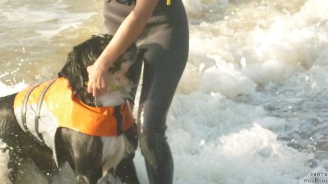 Фото: Евгения Агафошина, берник ЭНИ