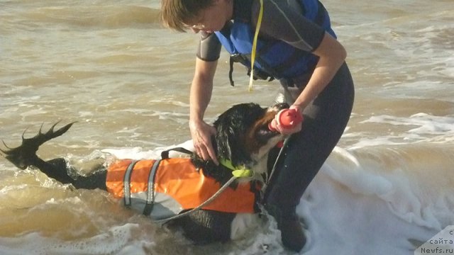 Фото: Евгения Агафошина, берник ЭНИ