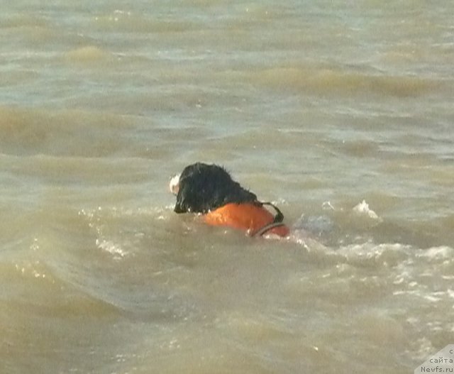 Фото: Евгения Агафошина, берник ЭНИ