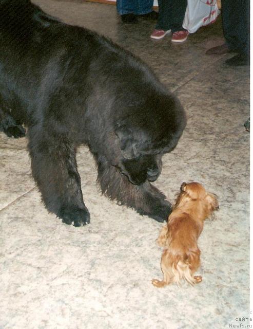 Фотография № 8718