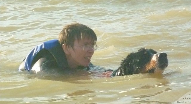 Фото: Евгения Агафошина, берник ЭНИ