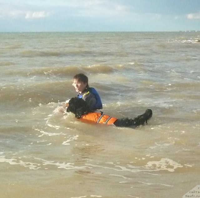 Фото: Евгения Агафошина, берник ЭНИ