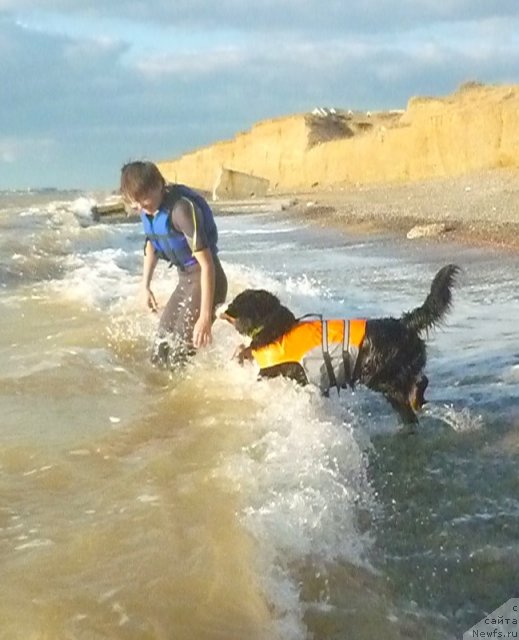 Фото: Евгения Агафошина, берник ЭНИ