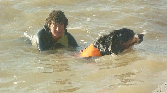 Фото: Наталия Михайлова, Евгения Агафошина, берник ЭНИ