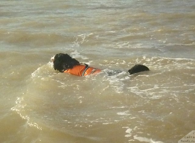 Фото: Евгения Агафошина, берник ЭНИ