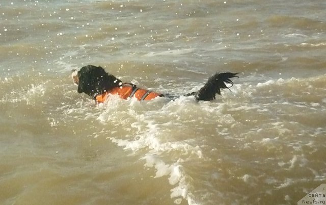 Фото: Евгения Агафошина, берник ЭНИ