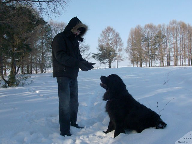 Фотография № 87223