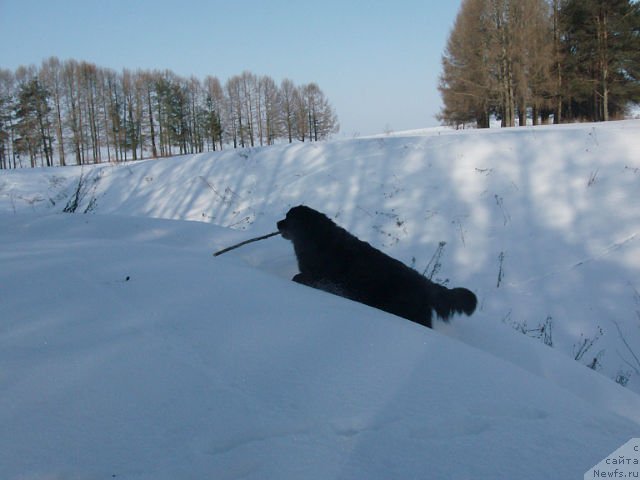 Фотография № 87224